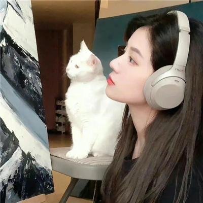 新女婿时代